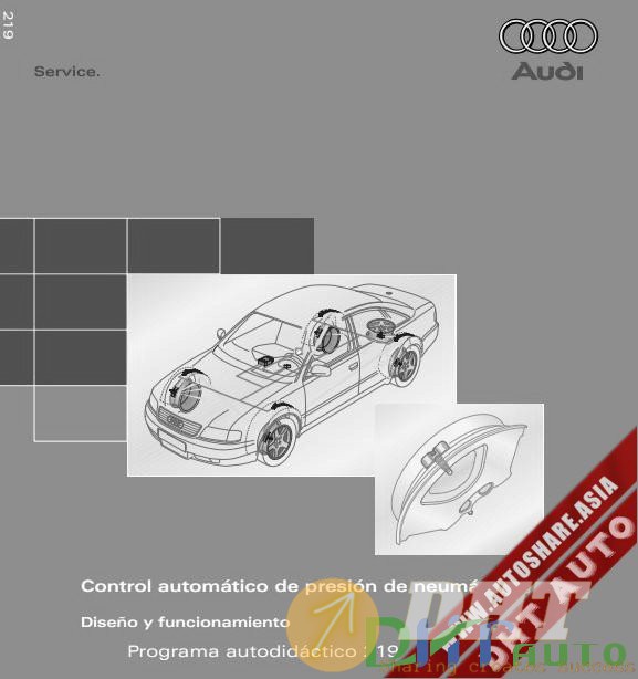 Audi_Tire-Pressure_Monitor_1.jpg