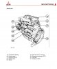 arb565.jpg