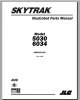DHTauto267.jpg