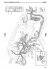 arb823.jpg arb823.jpg