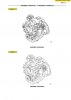 New-Holland-Engine-F4GE-Backhoe-EN-Service-Manual-03.jpg